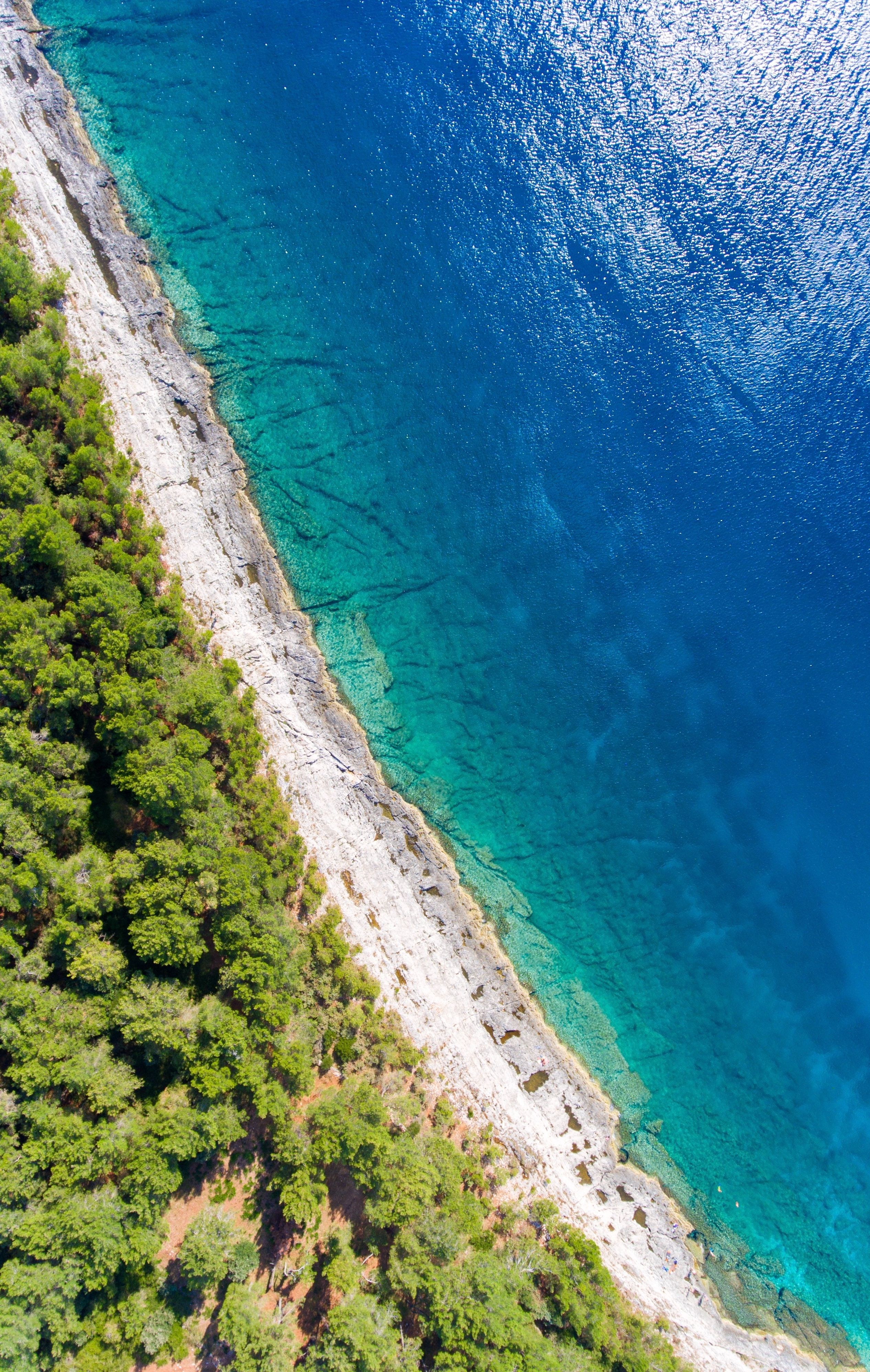unsplash_aMMMmpdoW0o